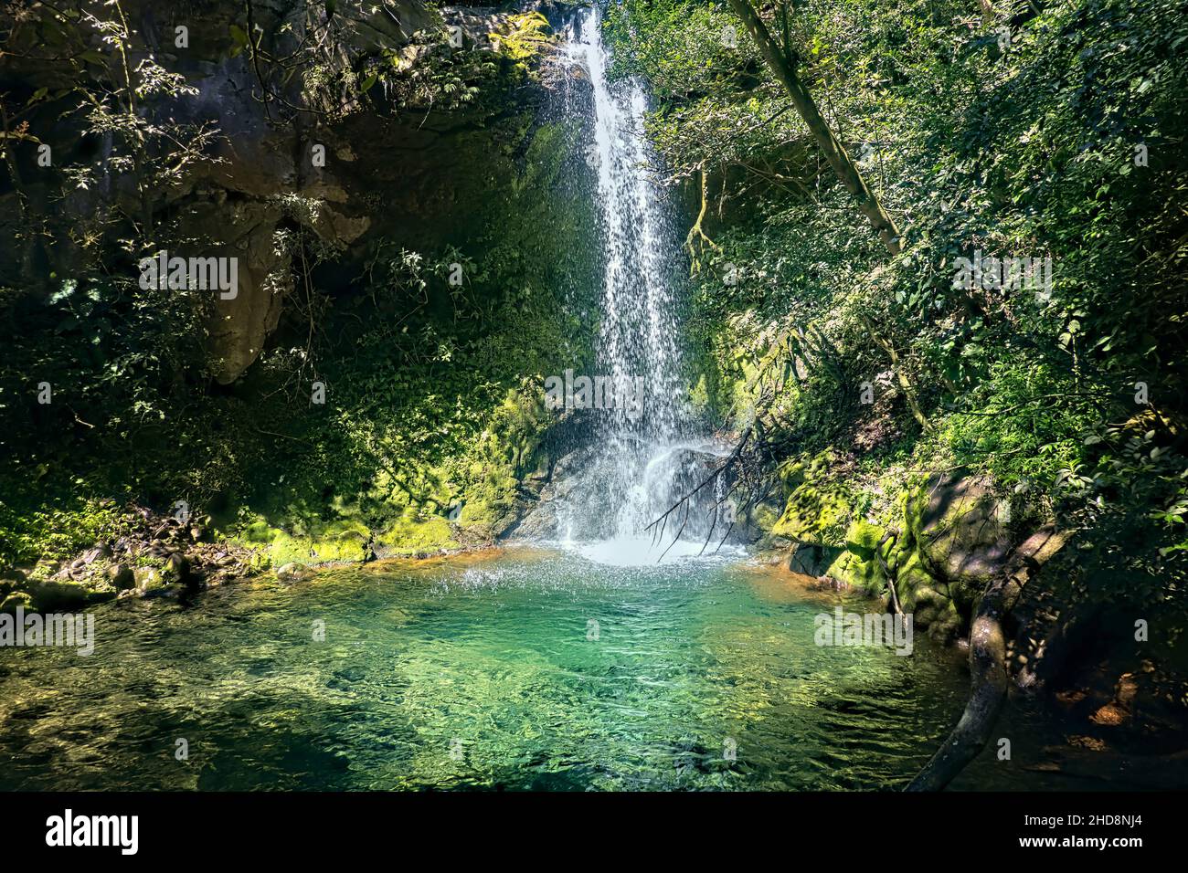 Einladender Pool im Hidden Waterfall (Cataratas Escondido), Nationalpark Rincon de La Vieja, Guanacaste, Costa Rica Stockfoto