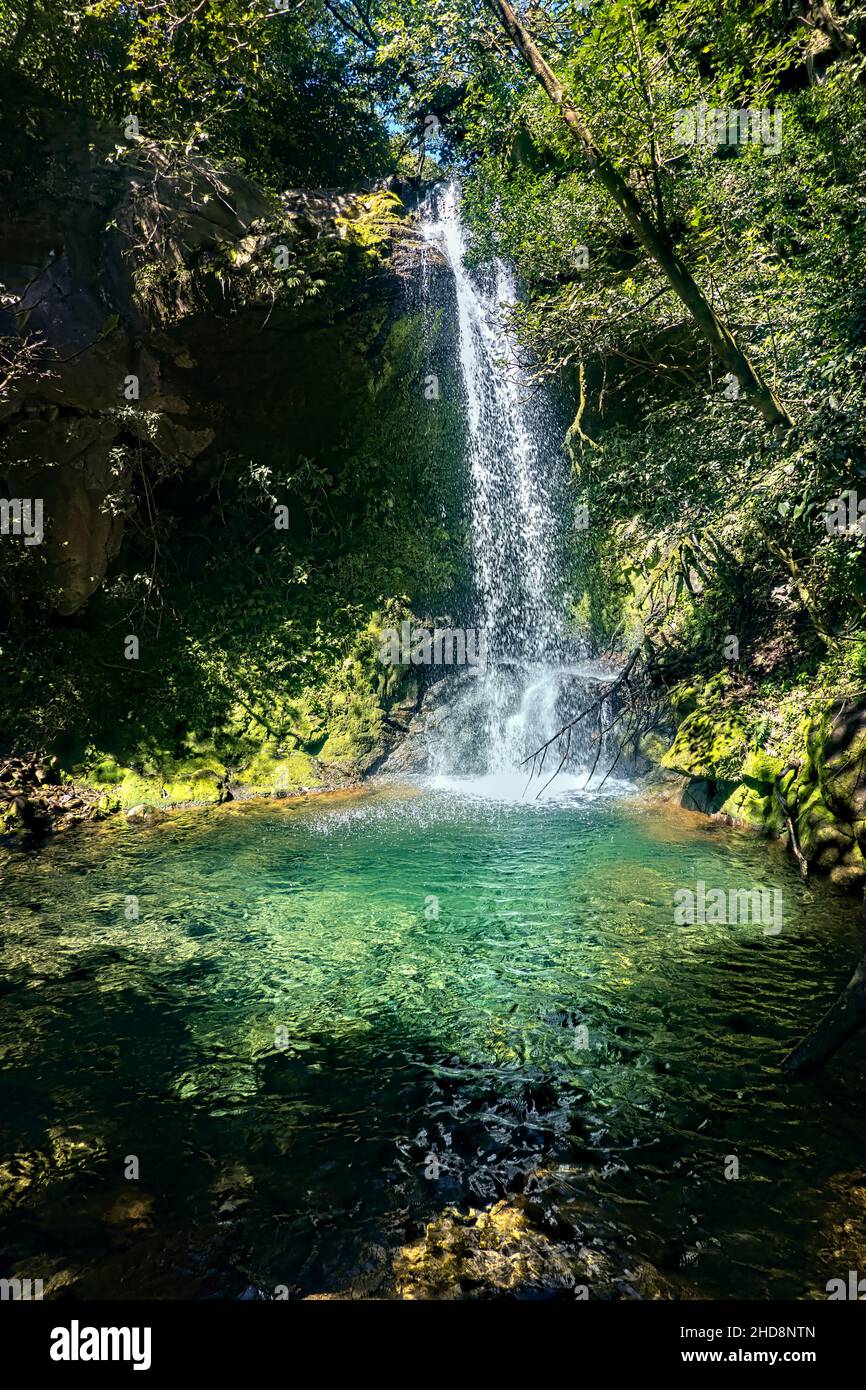 Einladender Pool im Hidden Waterfall (Cataratas Escondido), Nationalpark Rincon de La Vieja, Guanacaste, Costa Rica Stockfoto