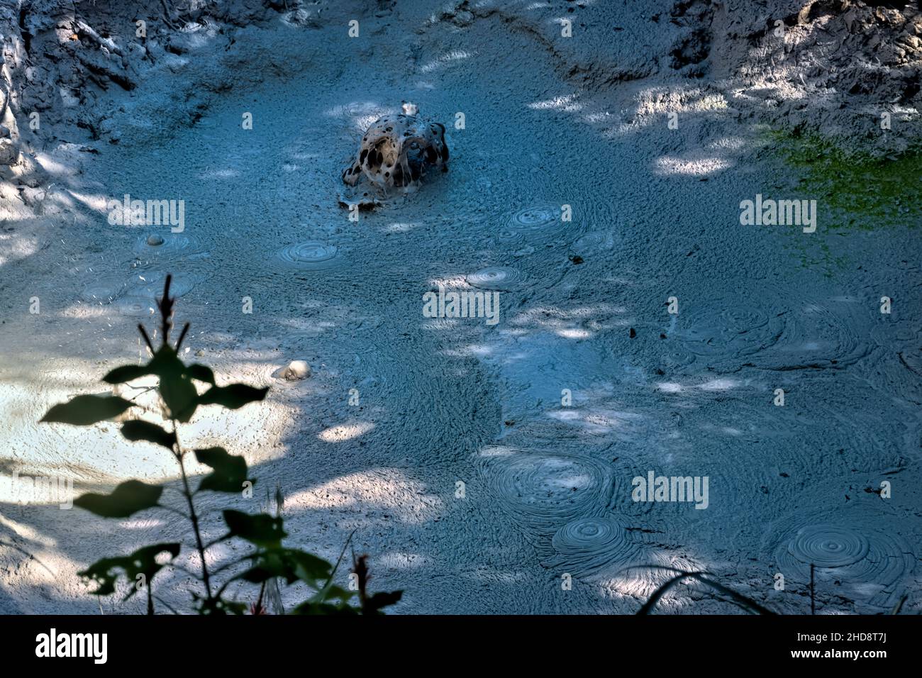 Sprudelnde Schlammtöpfe im Rincon de La Vieja Nationalpark, Guanacaste, Costa Rica Stockfoto