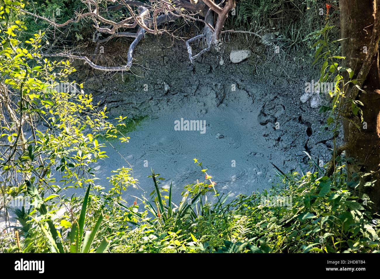 Sprudelnde Schlammtöpfe im Rincon de La Vieja Nationalpark, Guanacaste, Costa Rica Stockfoto
