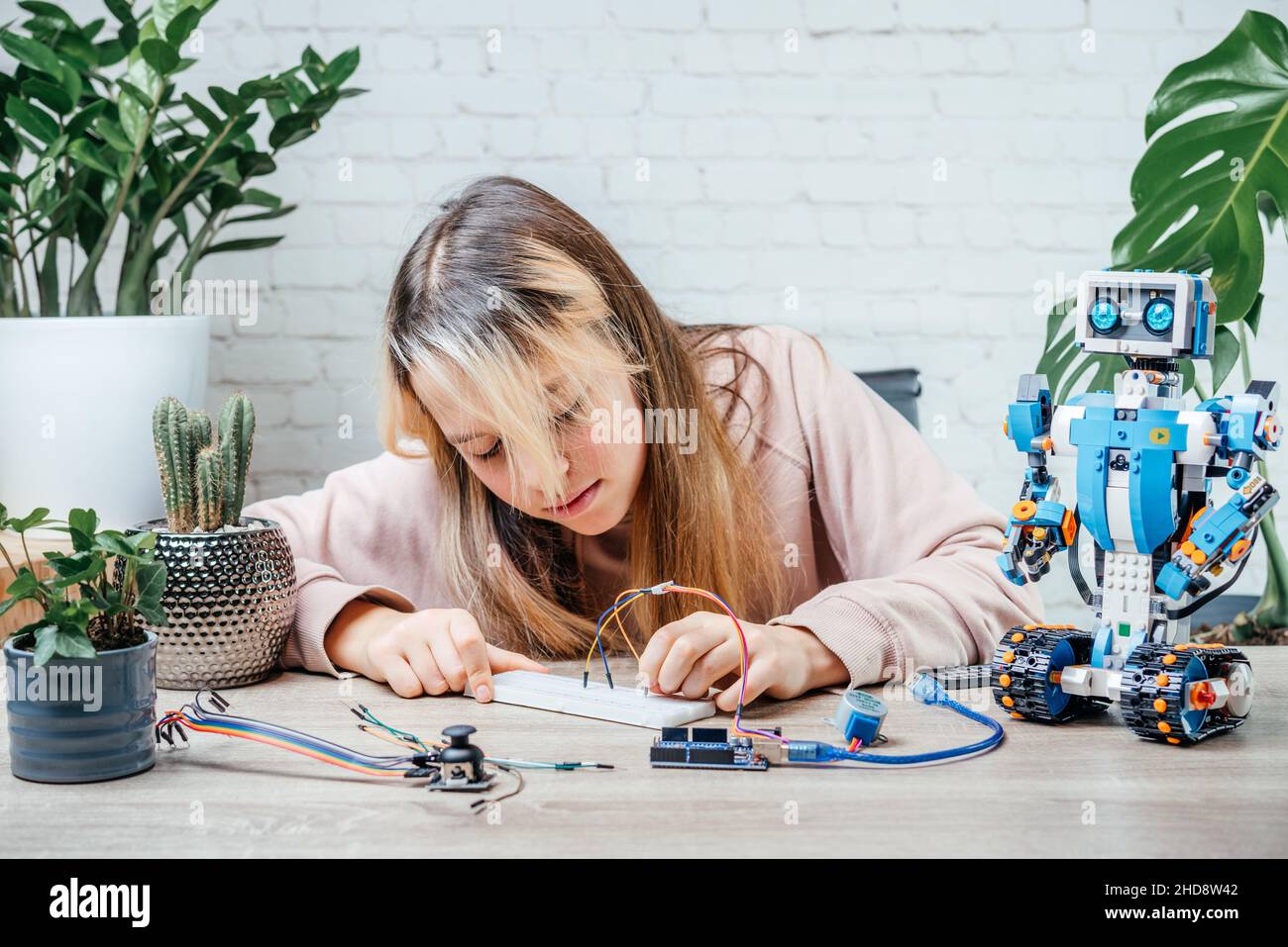 Ein Teenager-Mädchen, das Kabel an Sensorchips ansteckt, während er arduino-Codierung und Robotik lernt Stockfoto