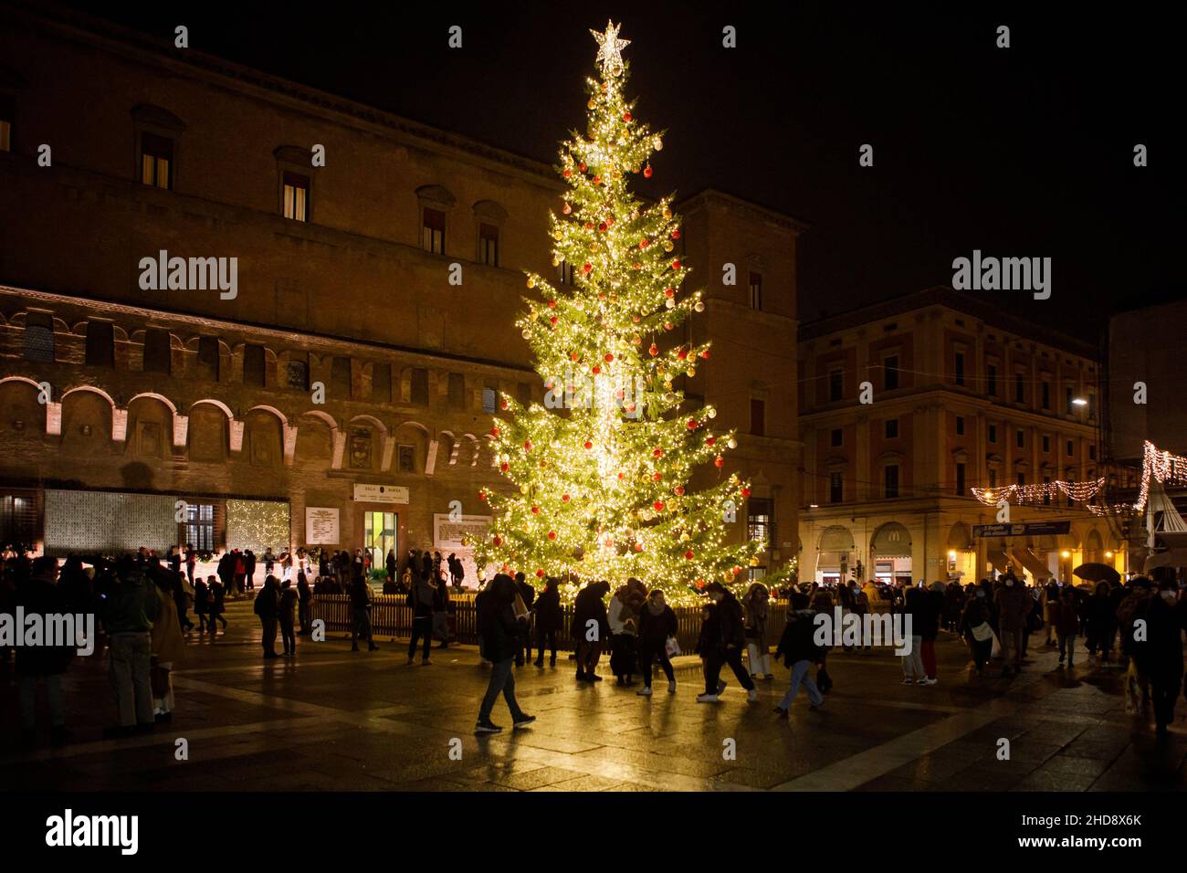 Bologna, ITALIEN. 4. Dezember 2021. Weihnachtsbaum auf der Piazza del Nettuno Stockfoto