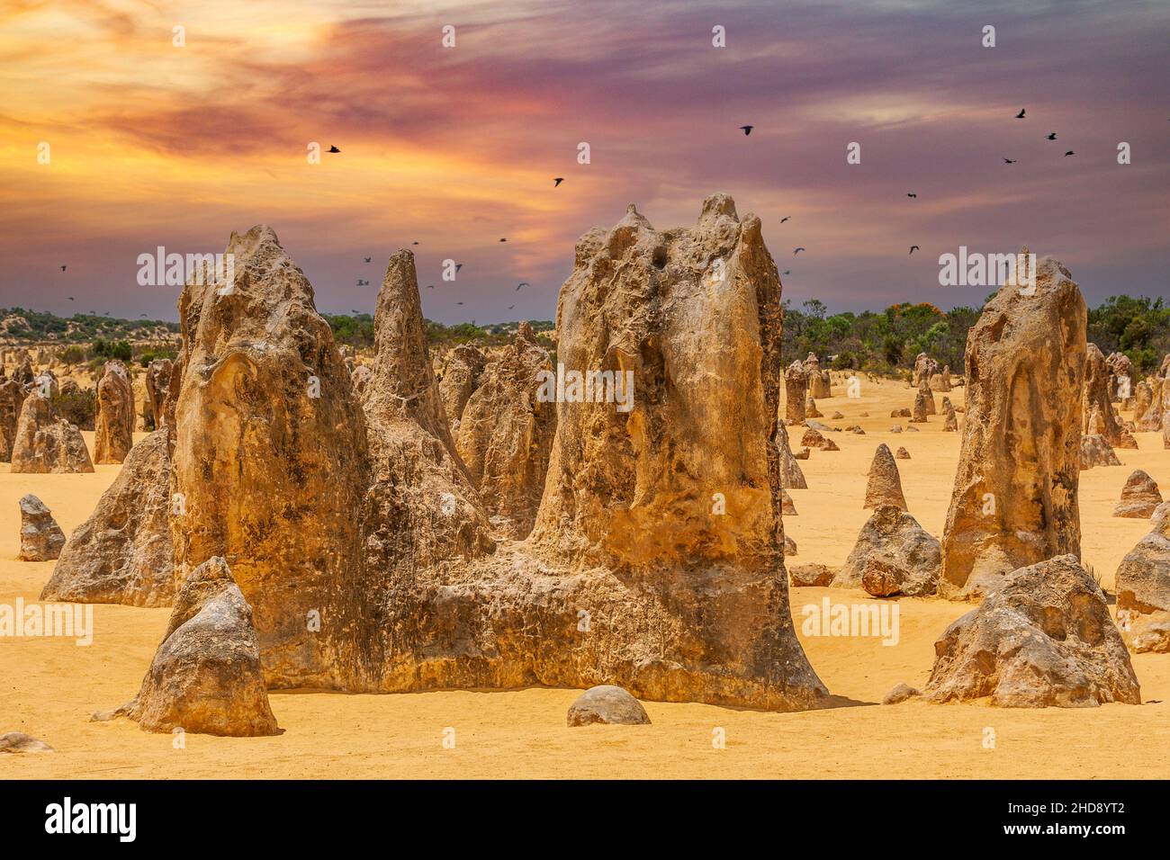 Die Pinnacles sind ein Wahrzeichen, das aus verwitterten Kalksteinsäulen besteht und in der Pinnacles-Wüste, einem Teil des Nambung-Nationalparks, zu sehen ist Stockfoto