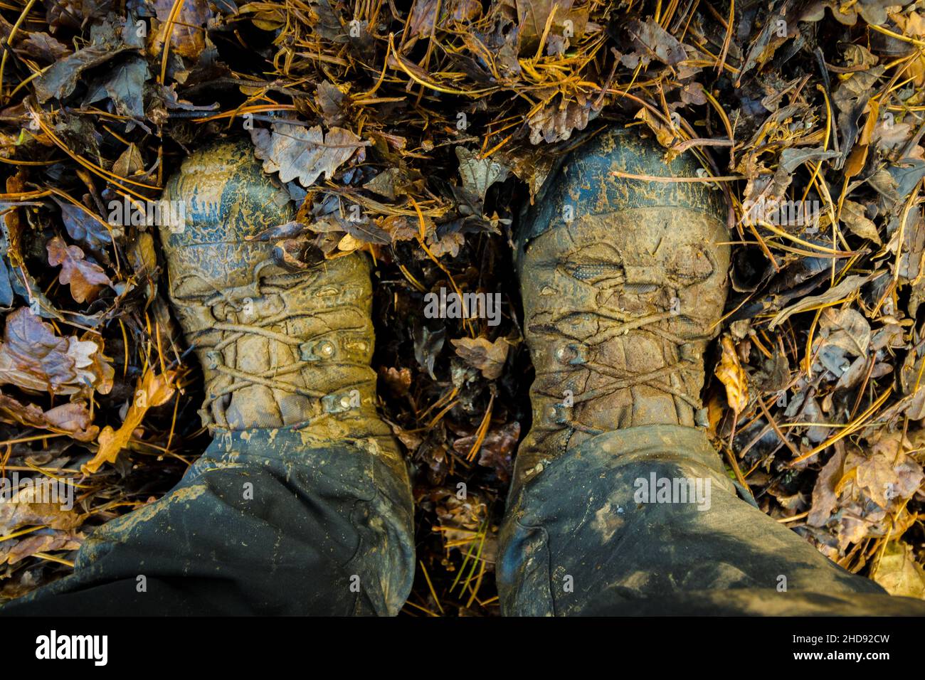 Schlammige Wanderschuhe im Herbst Blätter Stockfoto