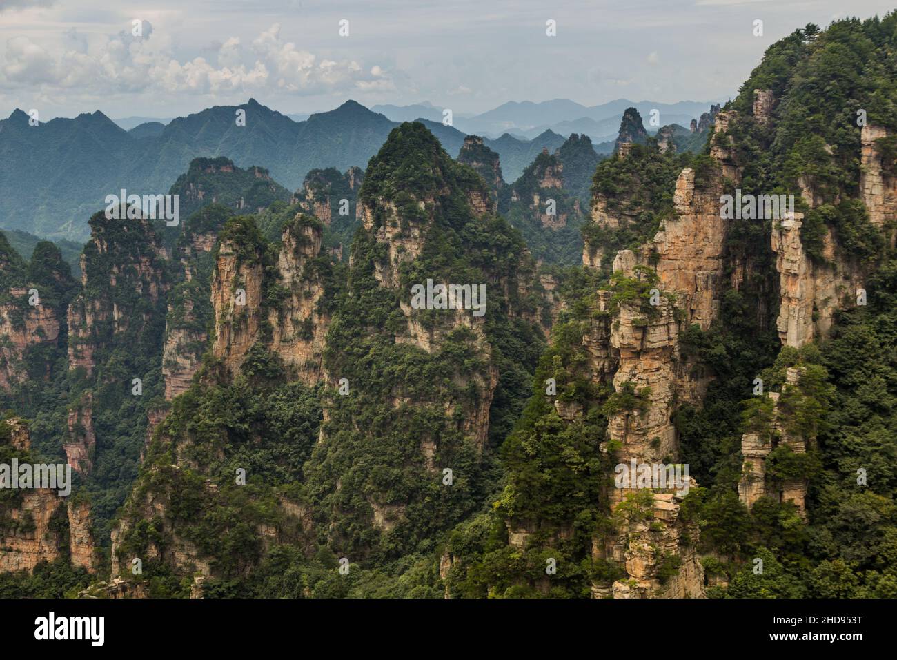 Felsformationen in Wulingyuan Scenic and Historic Interest Area im Zhangjiajie National Forest Park in der Provinz Hunan, China Stockfoto