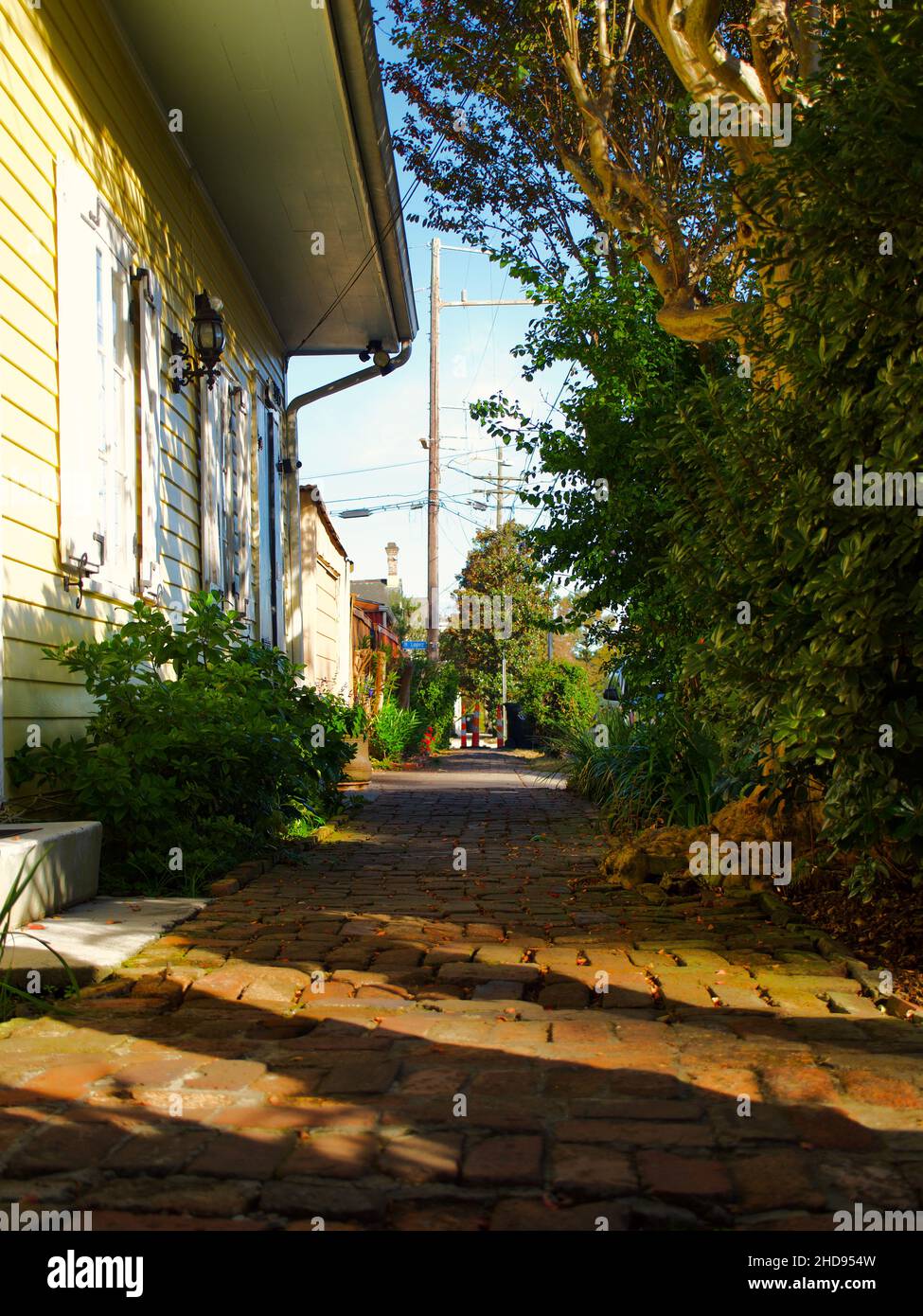 Kopfsteinpflaster in New Orleans Stockfoto