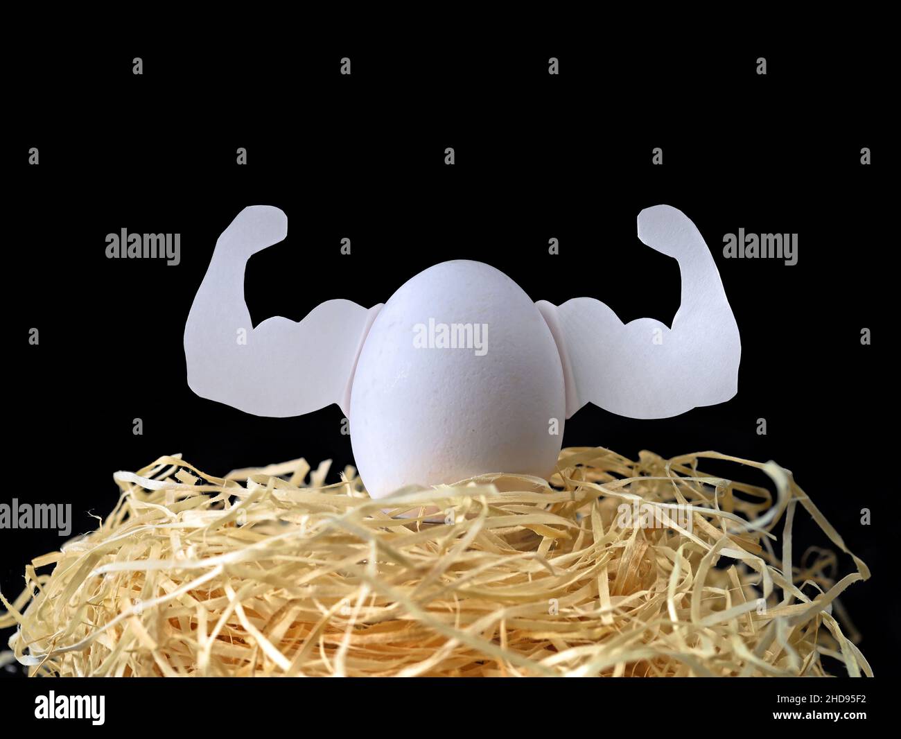 Weißes Ei mit Muskeln in Holzwollennest isoliert auf schwarzem Hintergrund, Konzept von Protein und Sportnahrung für den Muskelaufbau Stockfoto