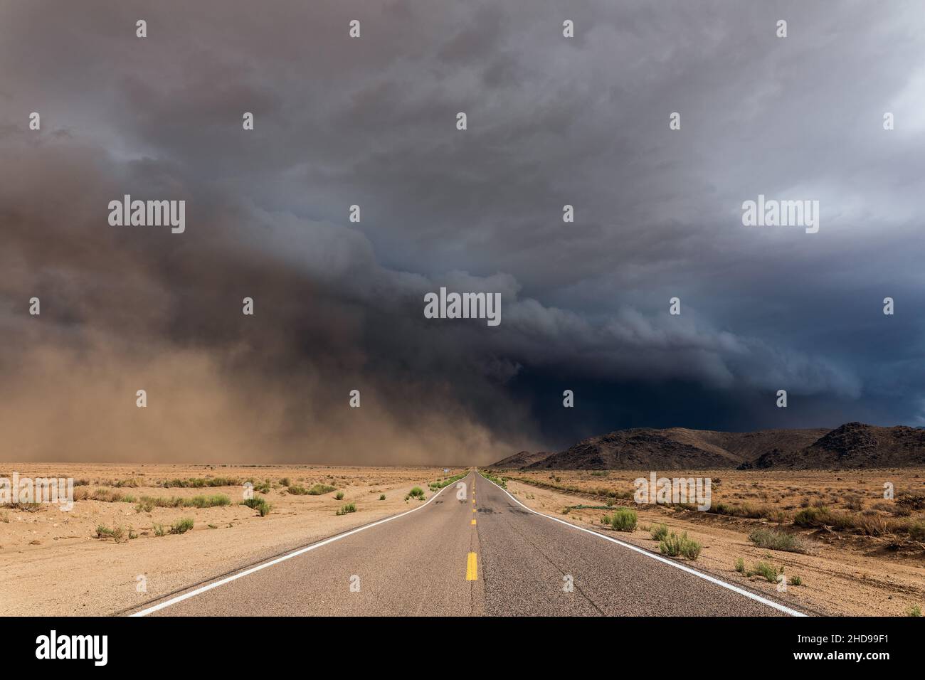Staubsturm (Haboob) über einer Straße in der Wüste während der Monsunsaison in der Nähe von Kingman, Arizona, USA Stockfoto