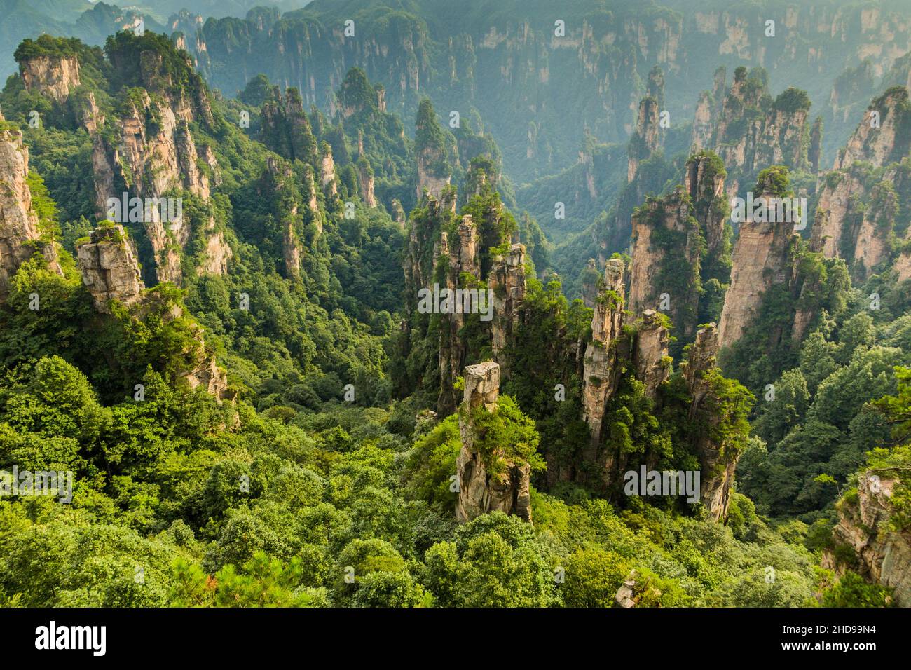 Felsformationen in Wulingyuan Scenic Area des Zhangjiajie Forest Park, China Stockfoto