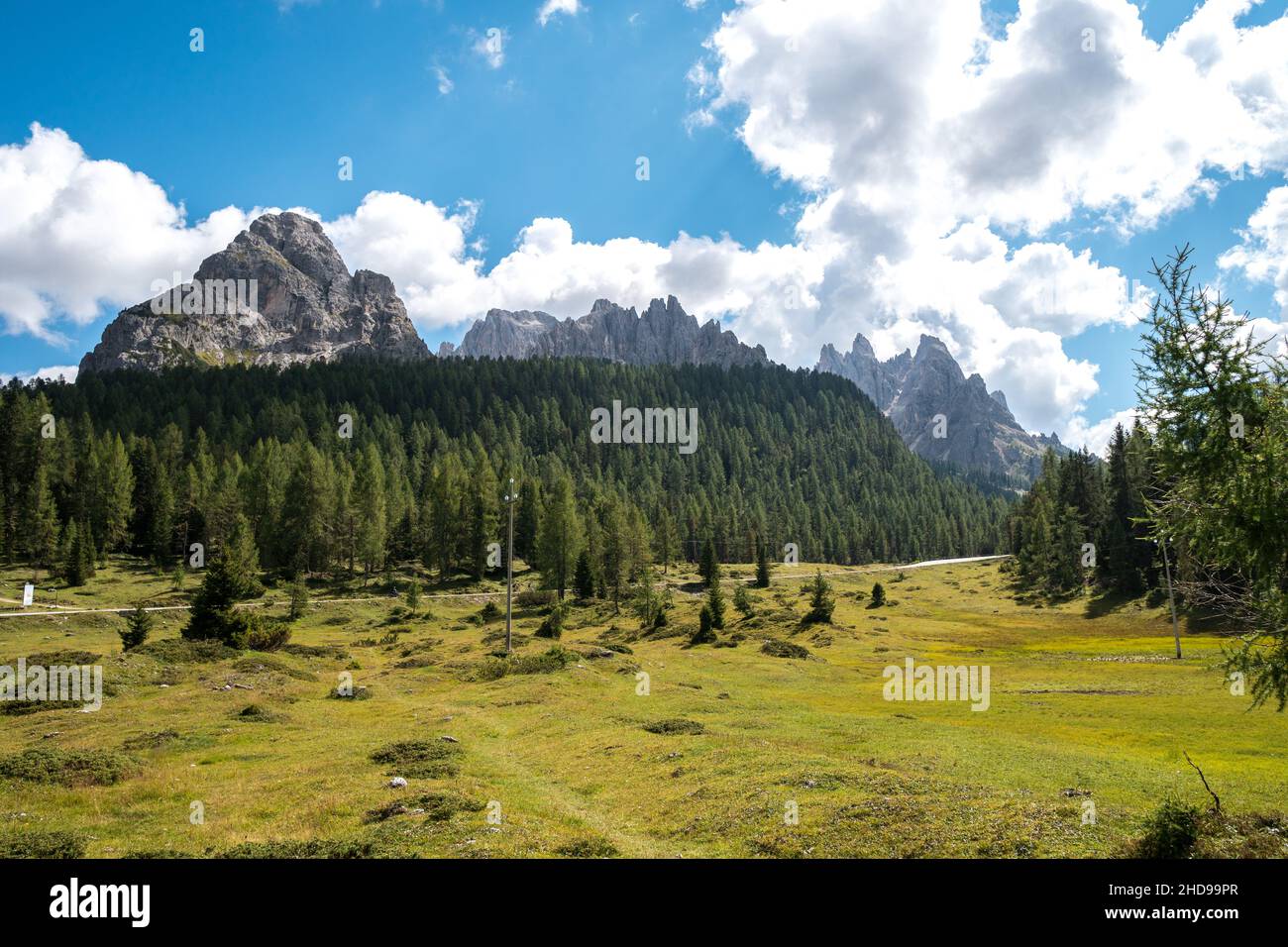 Berglandschaft im Sommer entlang der Straße nach Tre Cime di Lavaredo, Dolomiten, Provinz Belluno, Venetien, Italien. Stockfoto
