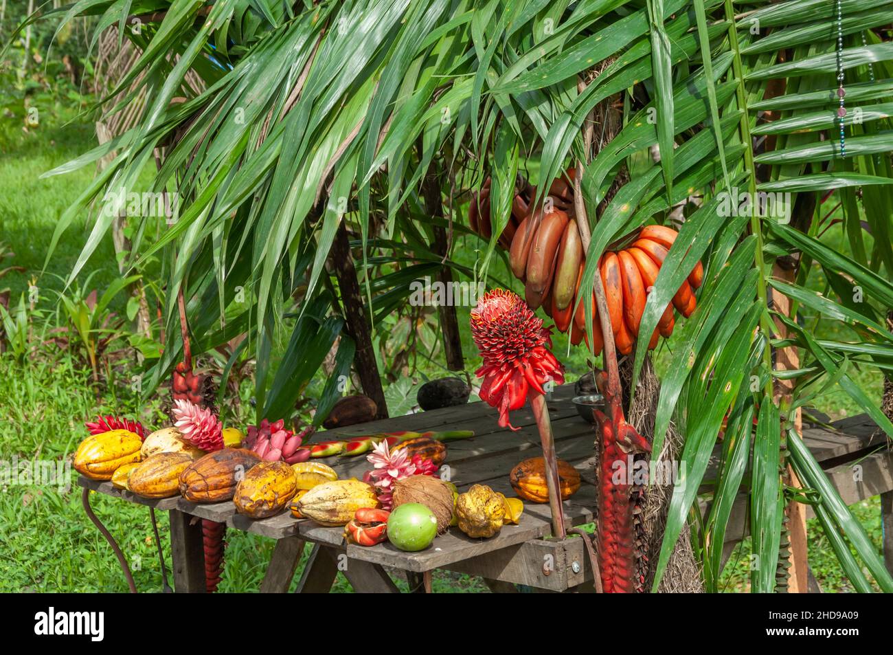 Eine tropische Fruchtdarstellung in Costa Rica, Mittelamerika. Stockfoto