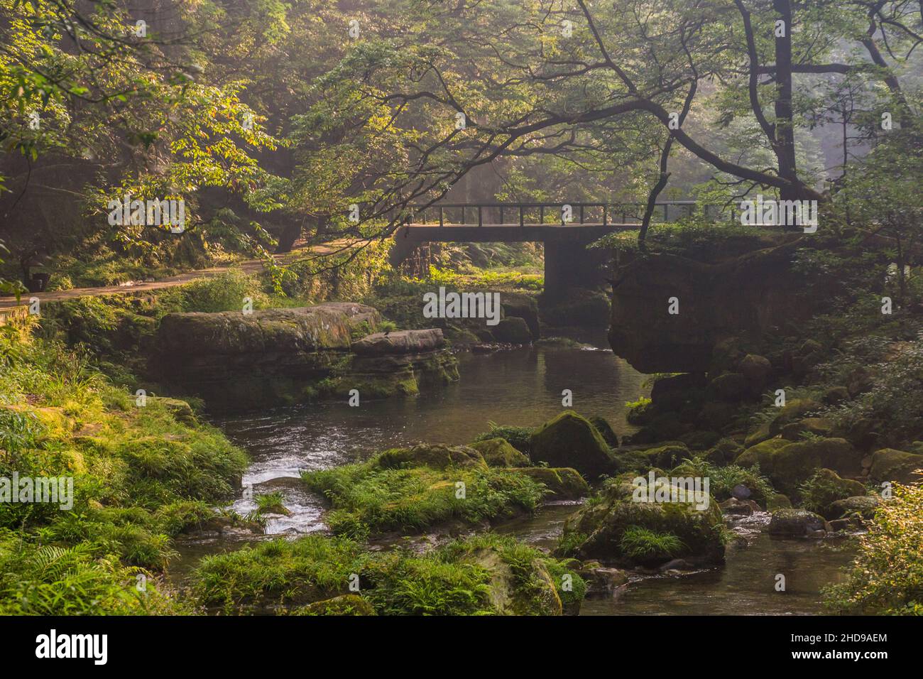 Golden Whip Stream im Zhangjiajie National Forest Park in der Provinz Hunan, China Stockfoto