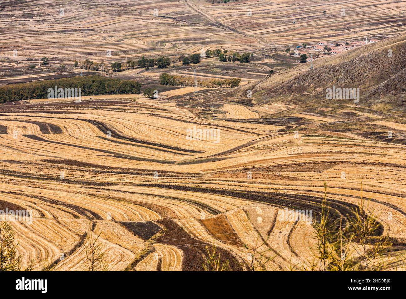 Luftaufnahme von Getreidefeldern mit Bäumen umgeben von Bergen Stockfoto