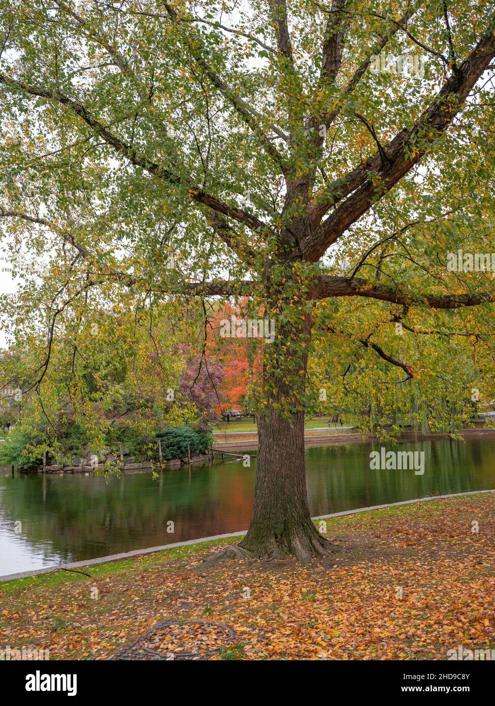 Boston Common, Boston, Massachusetts. Stockfoto