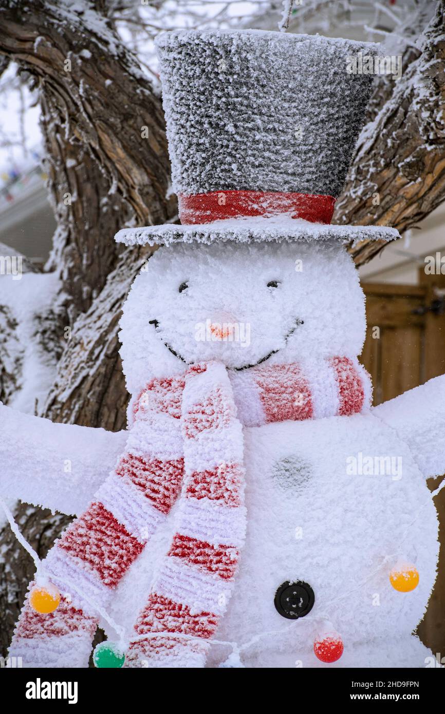 Frostig der Schneemann an einem kalten Wintertag Stockfoto