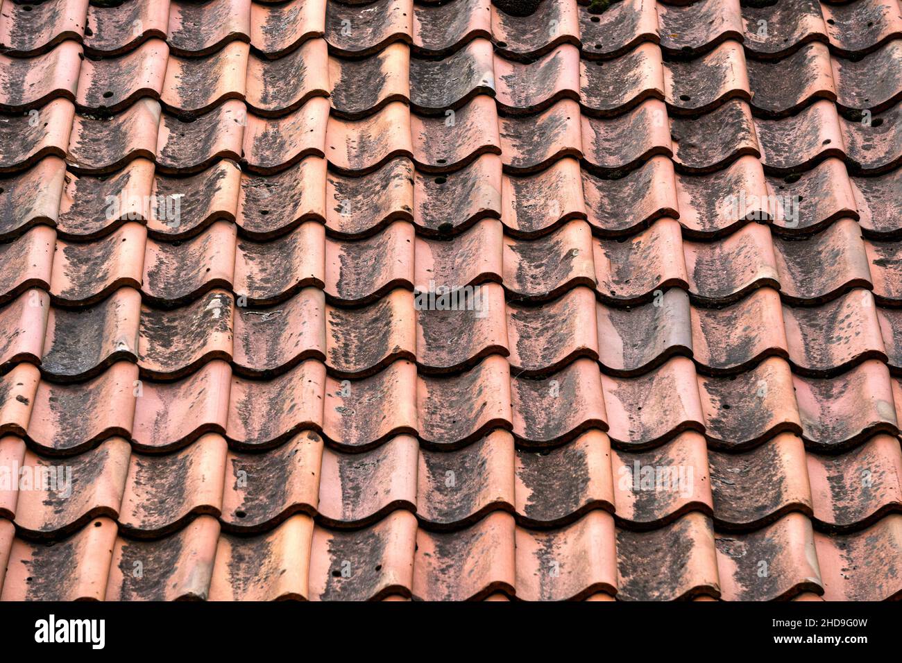 Terracotta-Dach aus alten Tonfliesen. Stockfoto