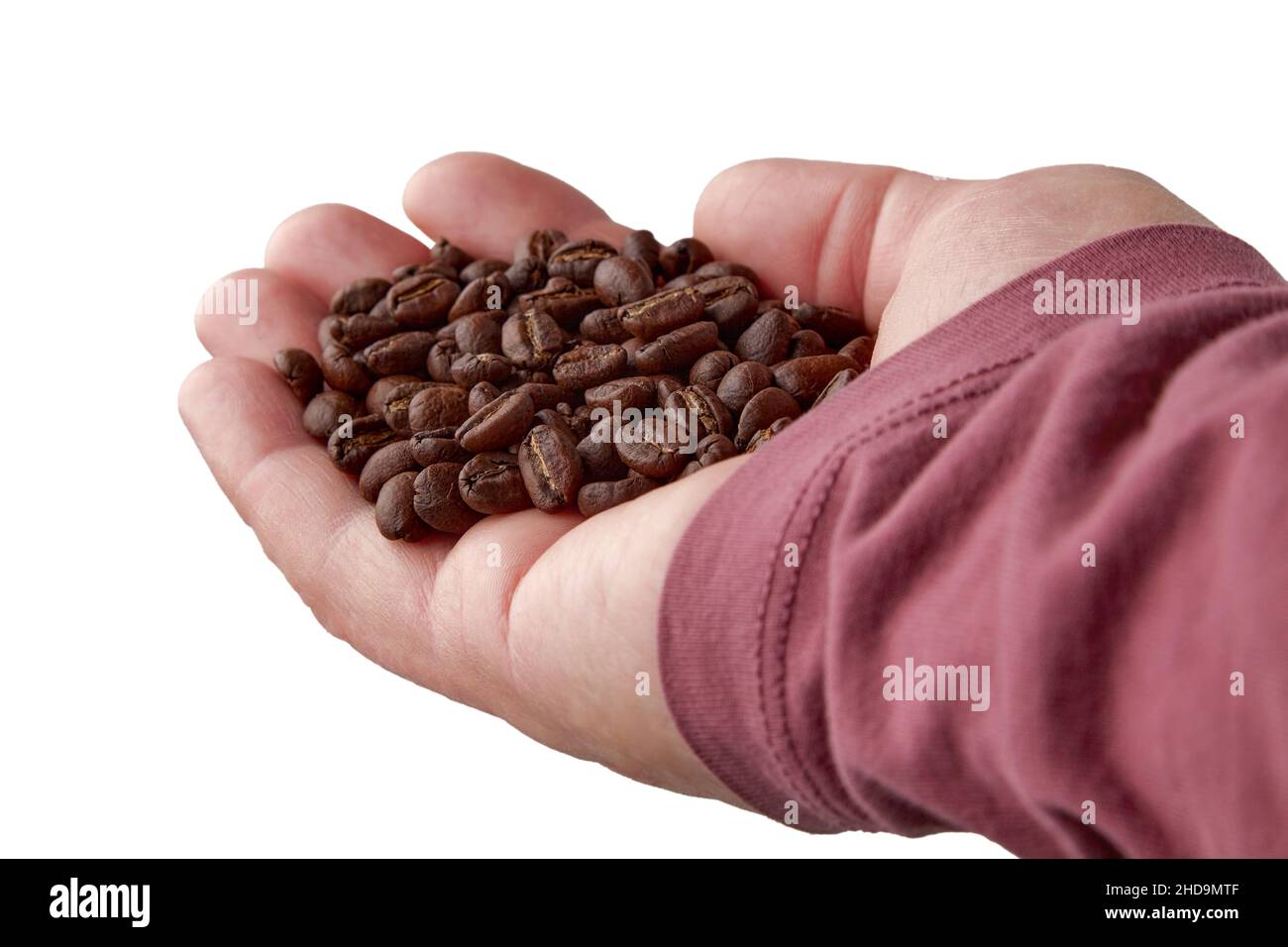 Frisch geröstete Kaffeebohnen in der müden Handfläche eines Mannes Stockfoto