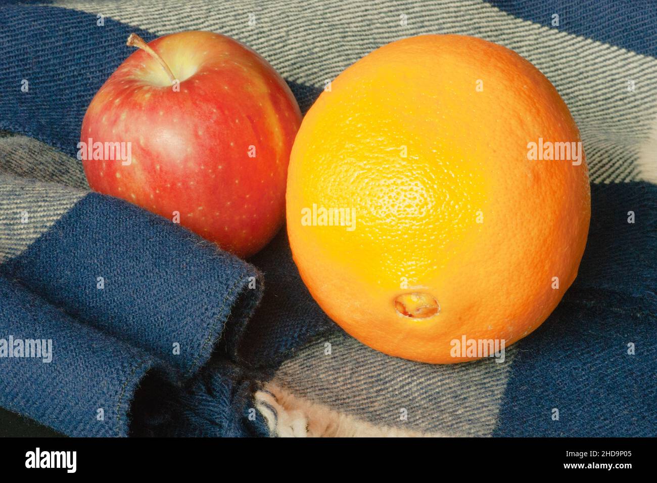 Winterfrüchte, Orange und Apfel, auf einem blau-weißen Wollschal. Die Nahaufnahme zeigt Textur, Kontrast und eine frische Qualität in verzehrfertigen Lebensmitteln. Stockfoto