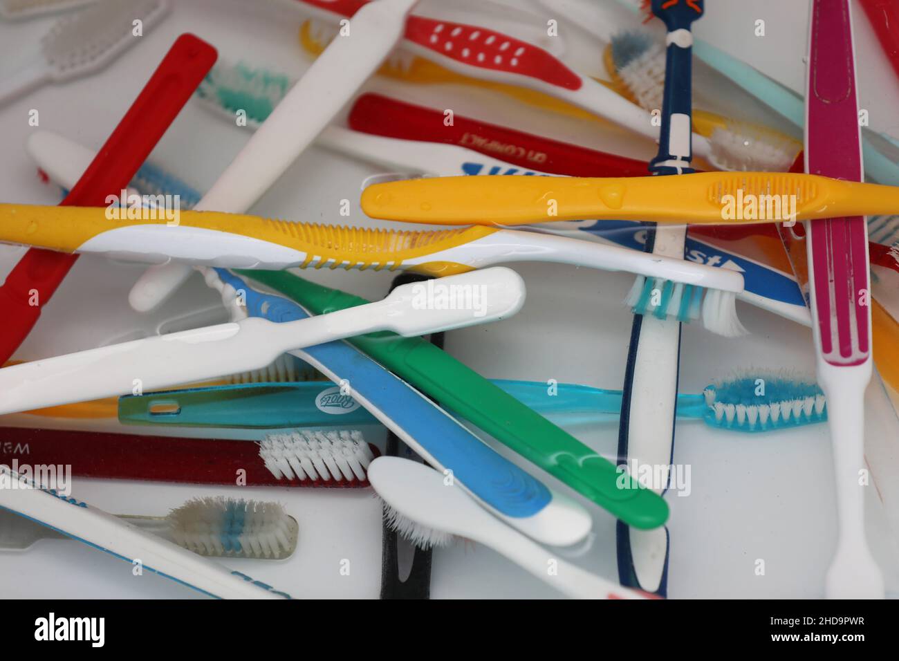 Eine Auswahl an bunten Zahnbürsten aus Kunststoff in einem Topf in einem Badezimmer in Chichester, West Sussex, Großbritannien. Stockfoto