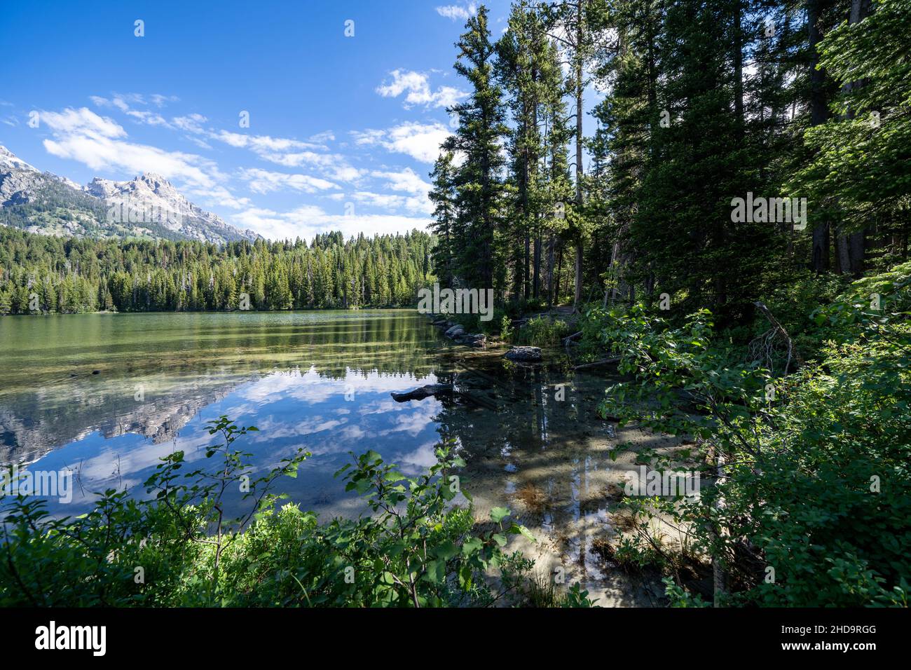 Ruhiger Morgen am Taggart Lake im Grand Teton National Park Stockfoto