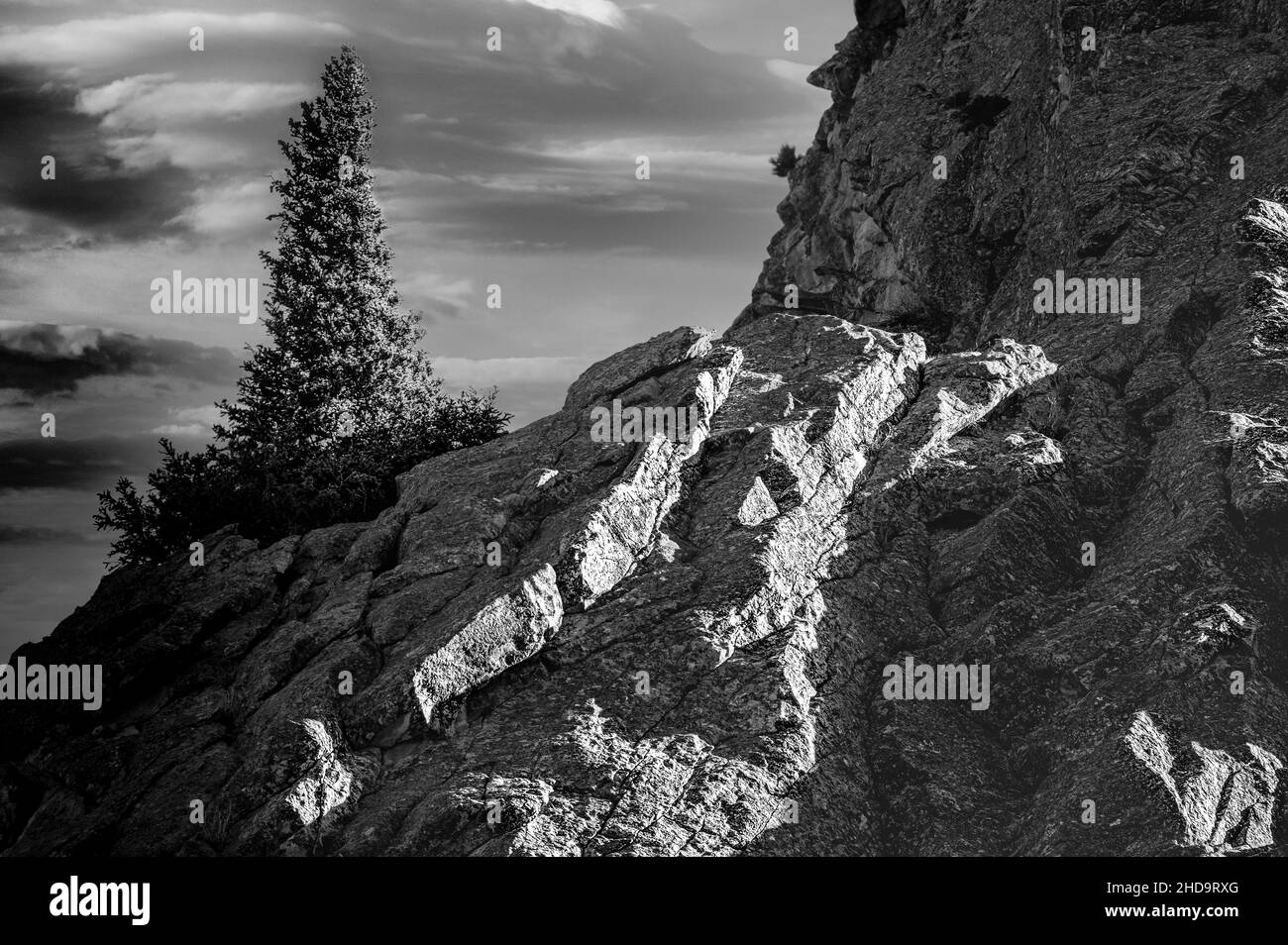 Graustufen Aufnahme von Bergen und einem Baum gegen einen bewölkten Himmel Stockfoto