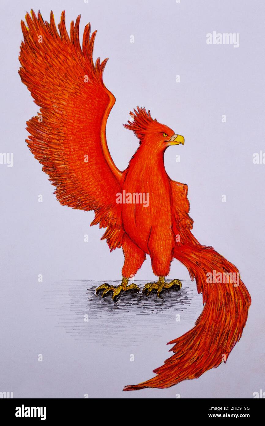 Eine Bleistiftillustration Des Geflügelten Phönix Stockfoto