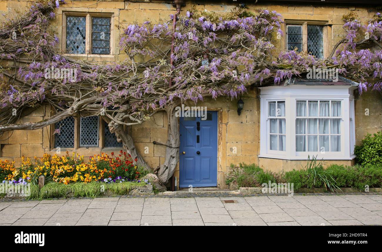 Traditionelles Cotswold Steinhaus mit Glyzinien am Broadway Stockfoto