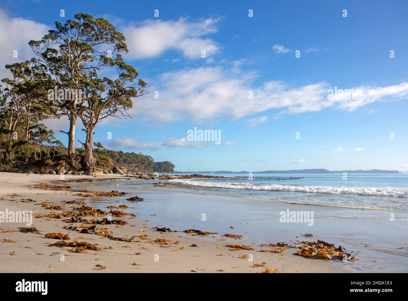 Two Tree Point an der Adventure Bay, Bruny Island Stockfoto