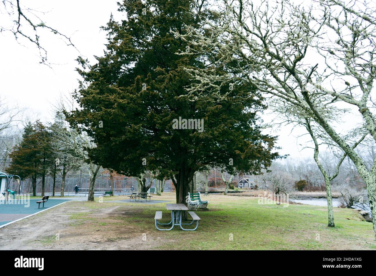 Schöner Park in der Wintersaison festgehalten. Die Bäume werden getrocknet und wir sehen einen Fluss vorbeifließen. Stockfoto