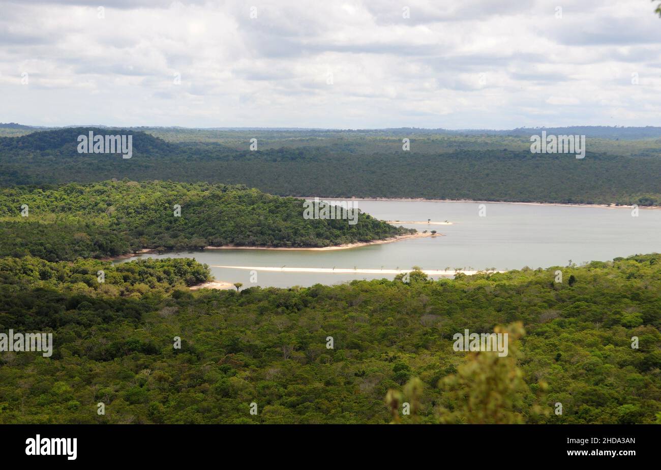 Blick auf die vegetation der amazonas-Savanne in der Stadt Alter do Chão, im Bundesstaat Pará, Brasilien. Stockfoto