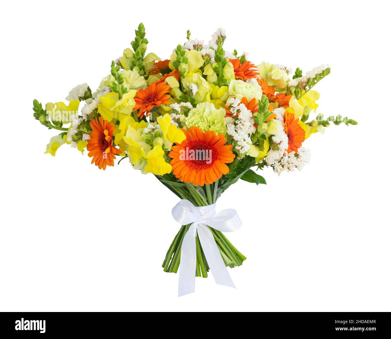 gerbera, Nelke, Wellenblatt-Lavendel, Statice, Limonium, Seegrasmarin, Antirrhinum, snapdragon, Blume, Bouquet, Haufen, Band, Geschenk Stockfoto