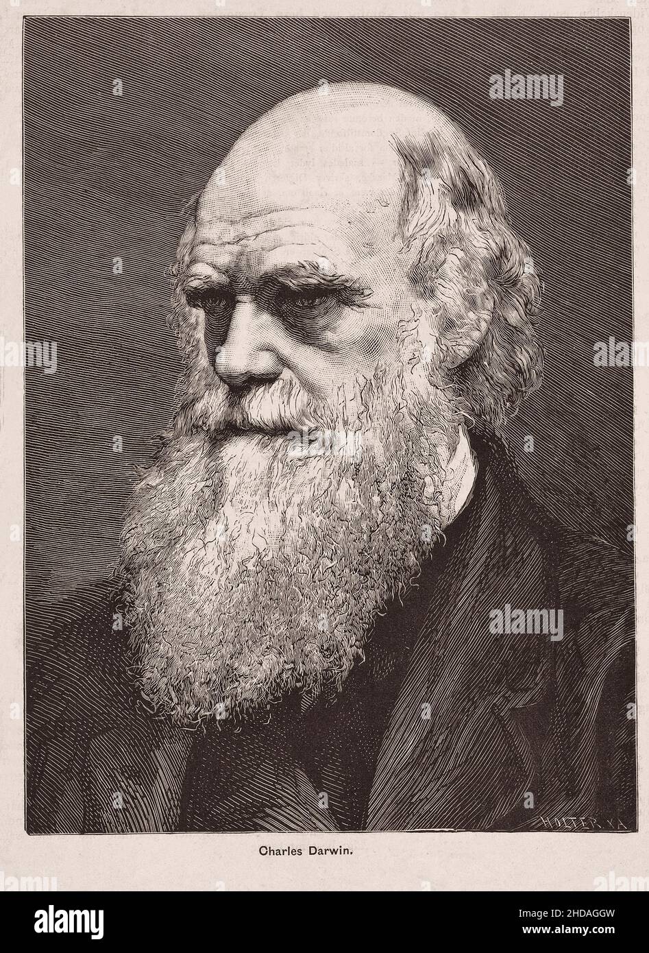 Porträt von Charles Darwin. Charles Robert Darwin (1809 – 1882) war ein englischer Naturforscher, Geologe und Biologe, der vor allem für seine Beiträge bekannt war Stockfoto