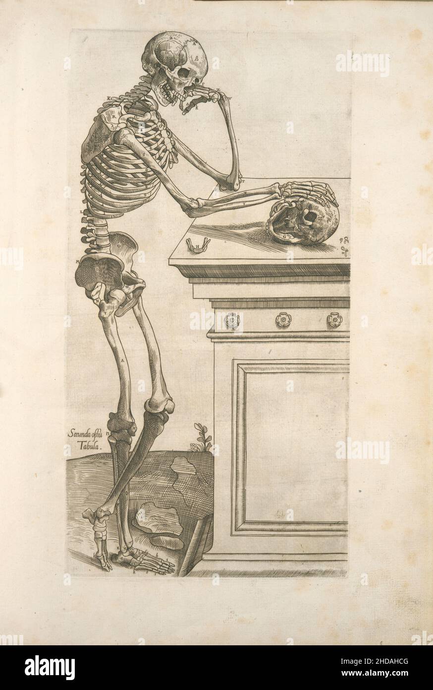 Secunda ossium tabula. Menschliches Skelett inspiziert einen Schädel und in tiefem Denken. 1545 von Thomas Geminus, d. 1562 (Autor) Stockfoto