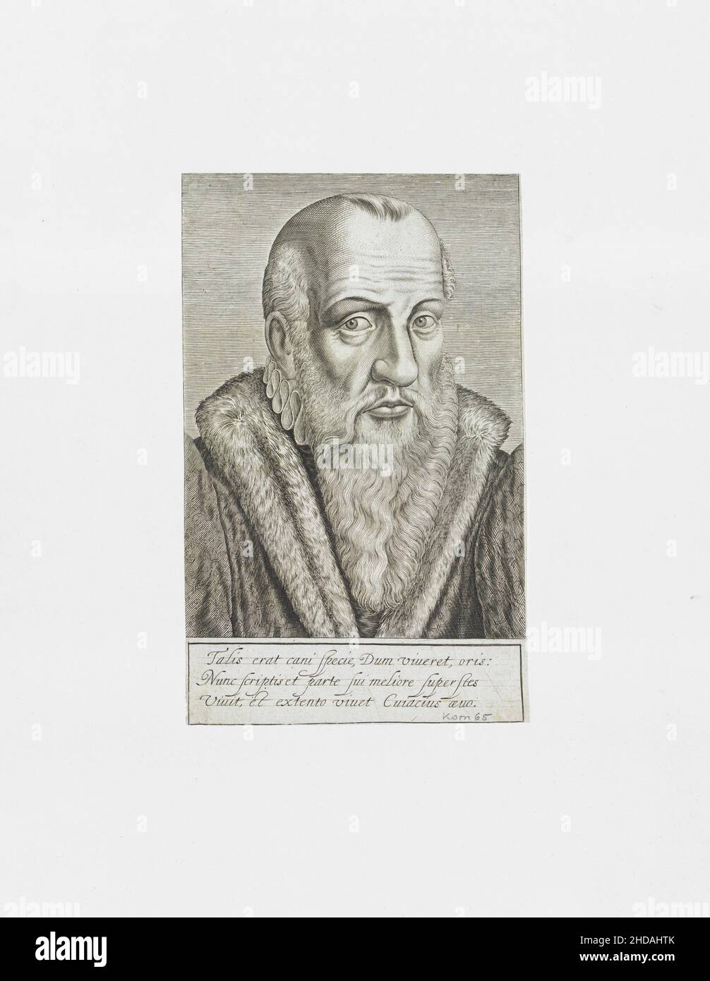 Porträt von Jacques Cujas. 1623 Jacques Cujas (oder Cujacius) (1522 – 1590) war ein französischer Rechtsexperte. Er war prominent unter den juristischen Humanisten oder MOS Stockfoto