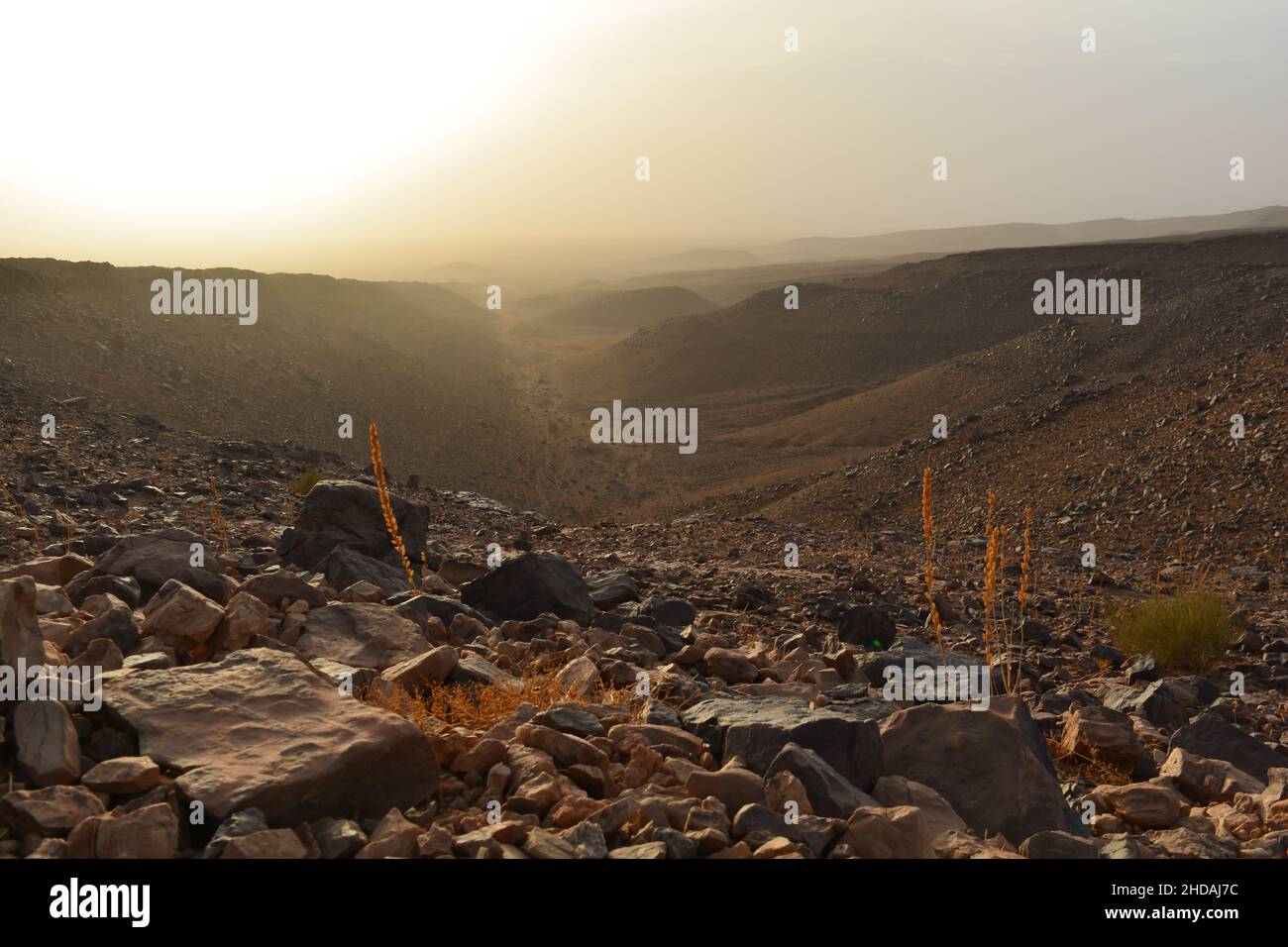 Panorama der Berge im Süden Marokkos (Tagounit) Stockfoto