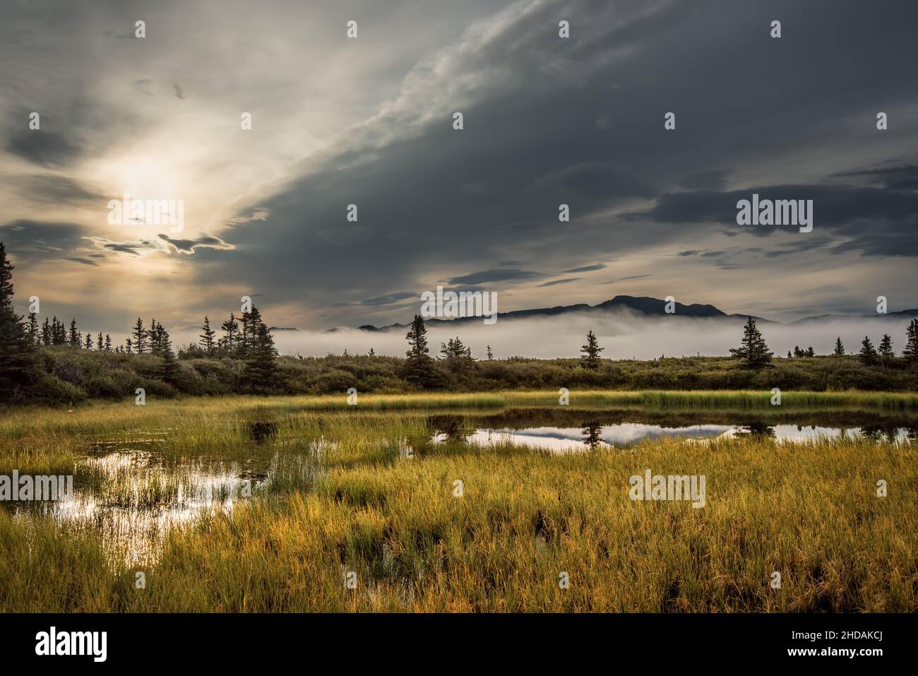 Wunderschöne Aussicht auf den frühen Morgenaufgang auf einem kleinen, mit einer Rohrkrüge gefüllten Teich Stockfoto