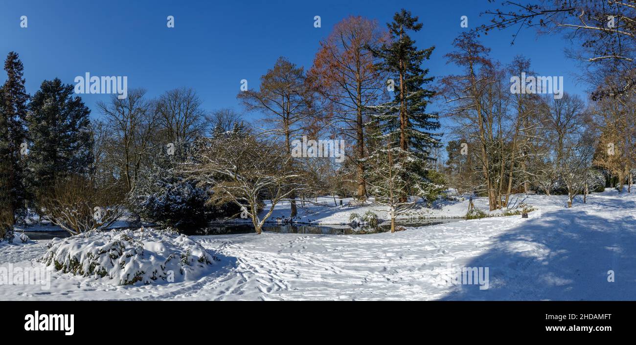 Parkanlage in Hohenheim Stockfoto