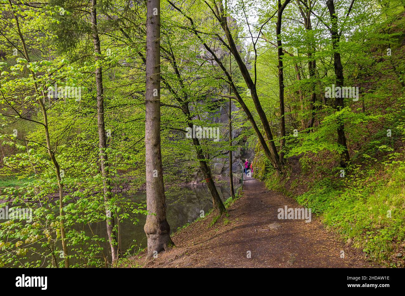 Natürliche Eindrücke vom Rieger Trail außerhalb von Bitouchov, Böhmisches Paradies (Cesky Raj), Stredocesky kraj, Tschechische Republik. Stockfoto