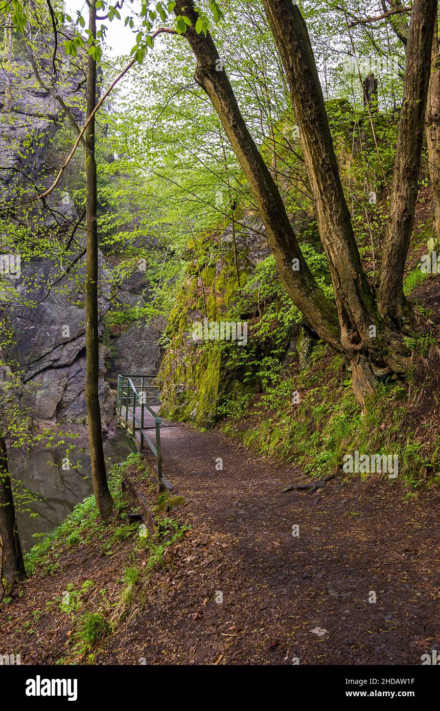 Natürliche Eindrücke vom Rieger Trail außerhalb von Bitouchov, Böhmisches Paradies (Cesky Raj), Stredocesky kraj, Tschechische Republik. Stockfoto