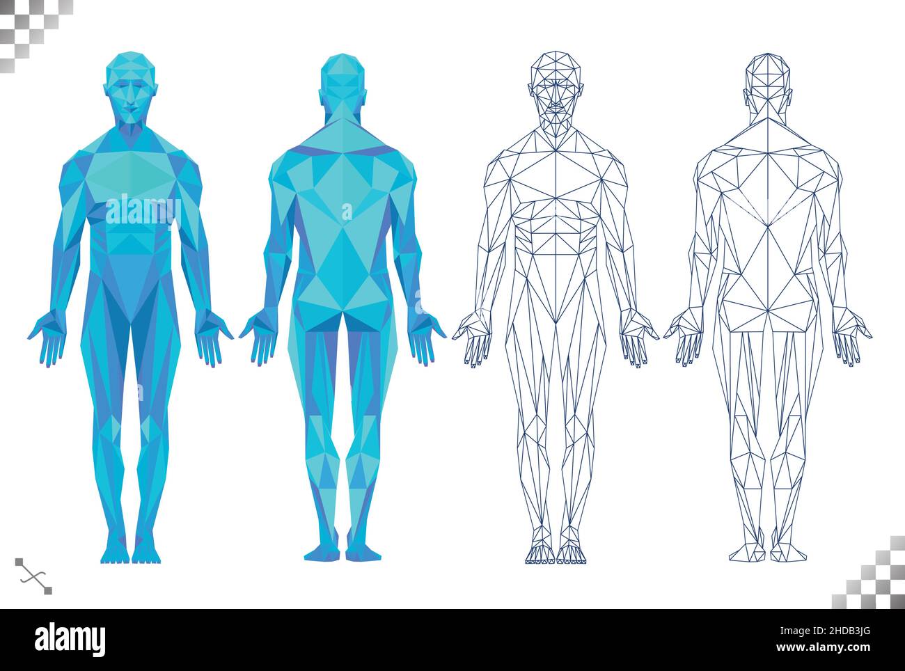 Low Poly High Tech blaue Farbe menschlichen Körper Dreiecke schwarze Linie Kunst transparenten Hintergrund. Basierend auf männlichen Muskelmustern und Physiologie hinten und vorne Stock Vektor