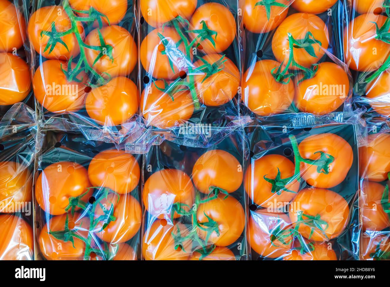Ausstellung von frischen, in Kunststoff verpackten Orangenkirschtomaten Stockfoto