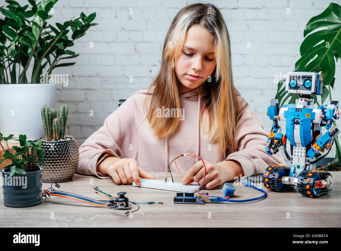 Ein Teenager-Mädchen, das Kabel an Sensorchips ansteckt, während er arduino-Codierung und Robotik lernt Stockfoto