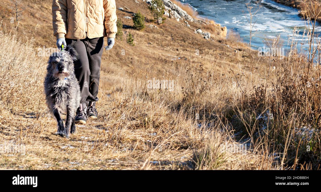 Frau in neutralen Farben Kleidung zu Fuß am Fluss mit grau flauschigen Mischlingshund im Herbst auf trockenem Gras, Haustier Liebe Freundschaft und Pflege, Erdtöne Stockfoto