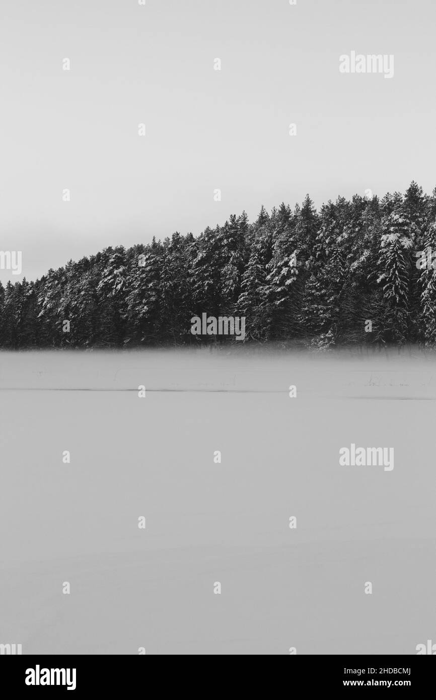 Schöne Winterlandschaft Natur Schnee Wald Szene im Freien Hintergründe Stockfoto