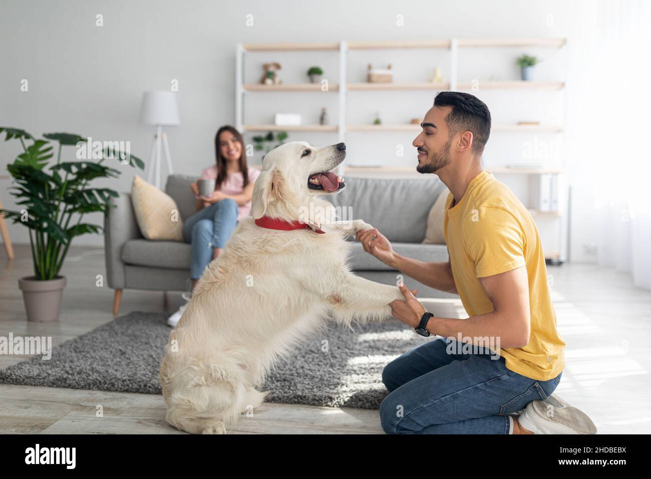 Glücklicher junger arabischer Kerl, der mit Hund spielt, Spaß auf dem Boden zu Hause hat, seine Freundin trinkt Kaffee auf dem Hintergrund Stockfoto
