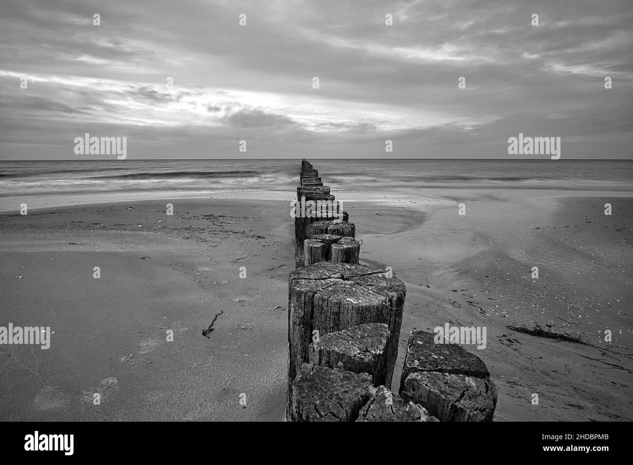 Groynes an der Ostsee in Schwarz und Weiß mit viel Struktur, die ins Meer ragt. Aufgenommen am Strand von Zingst Stockfoto