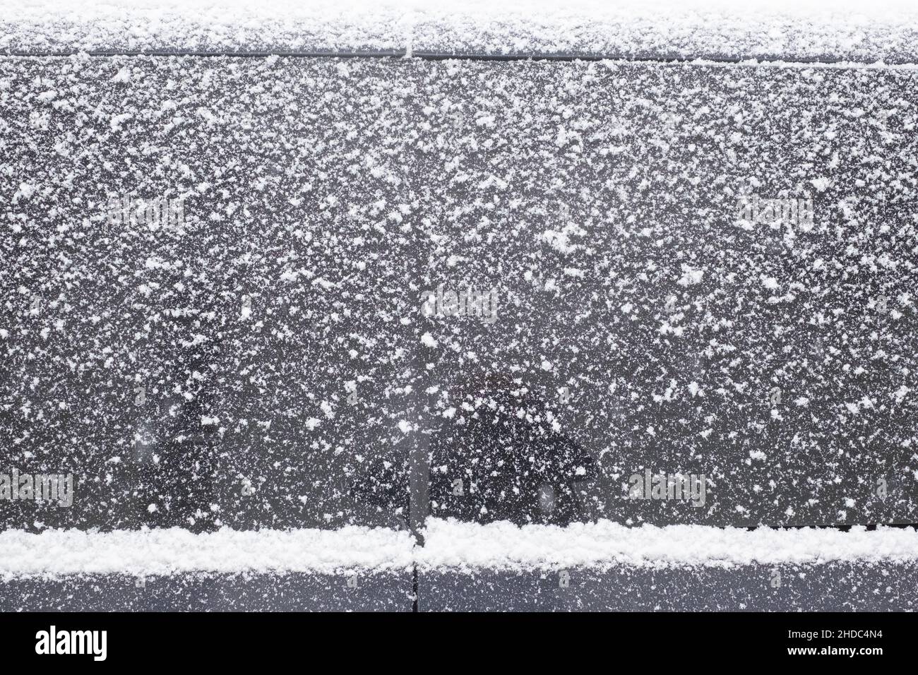 Großvater läuft mit einem Kinderwagen am verschneiten Wintertag Stockfoto