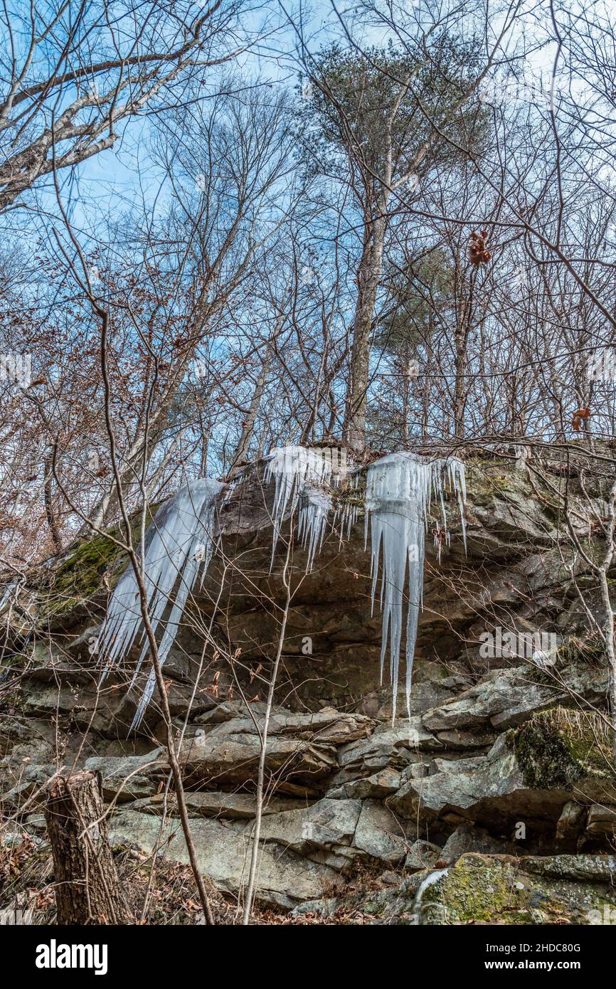 Blick nach oben auf die großen Eiszapfen, die an einem kalten Tag im Winter an den Klippen der Felsformation in den Bergen entlang des Pfades hängen Stockfoto