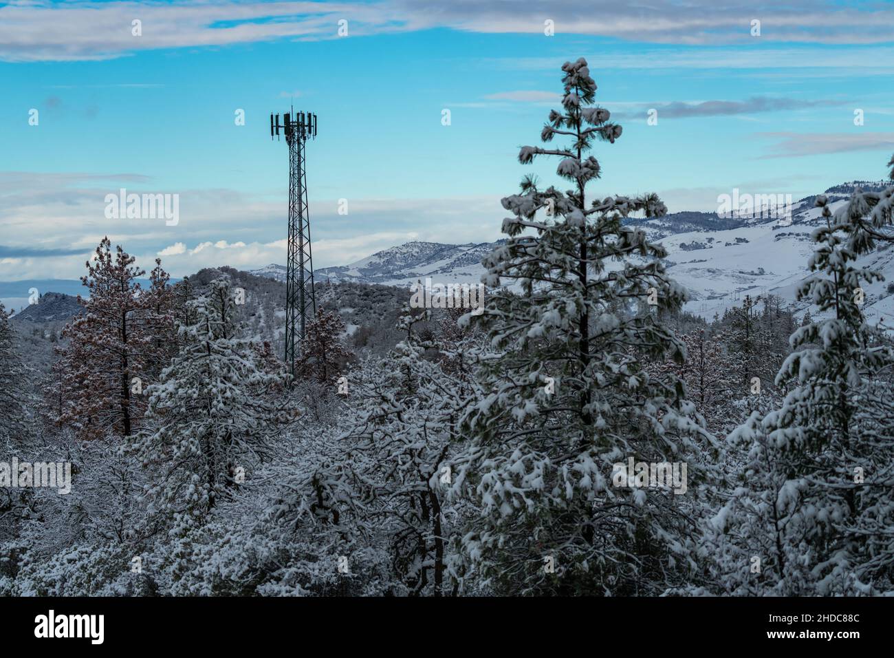 Cell Tower am Snowy Day. Oregon, Ashland, Cascade Siskiyou National Monument, Winter Stockfoto
