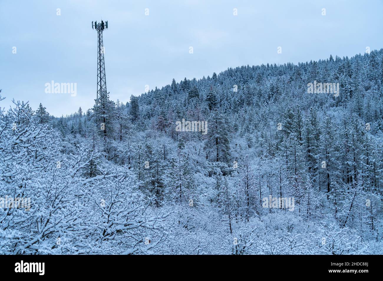 Cell Tower am Snowy Day. Oregon, Ashland, Cascade Siskiyou National Monument, Winter Stockfoto